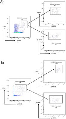 Characterizing CD38 expression in terminally differentiated B cells using variable lymphocyte receptor B tetramers